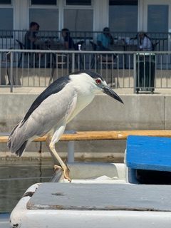 IMG_0308