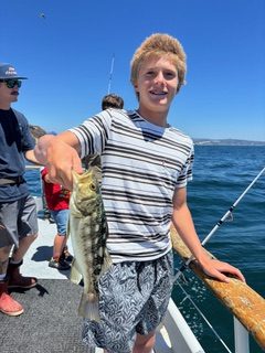 IMG_4402